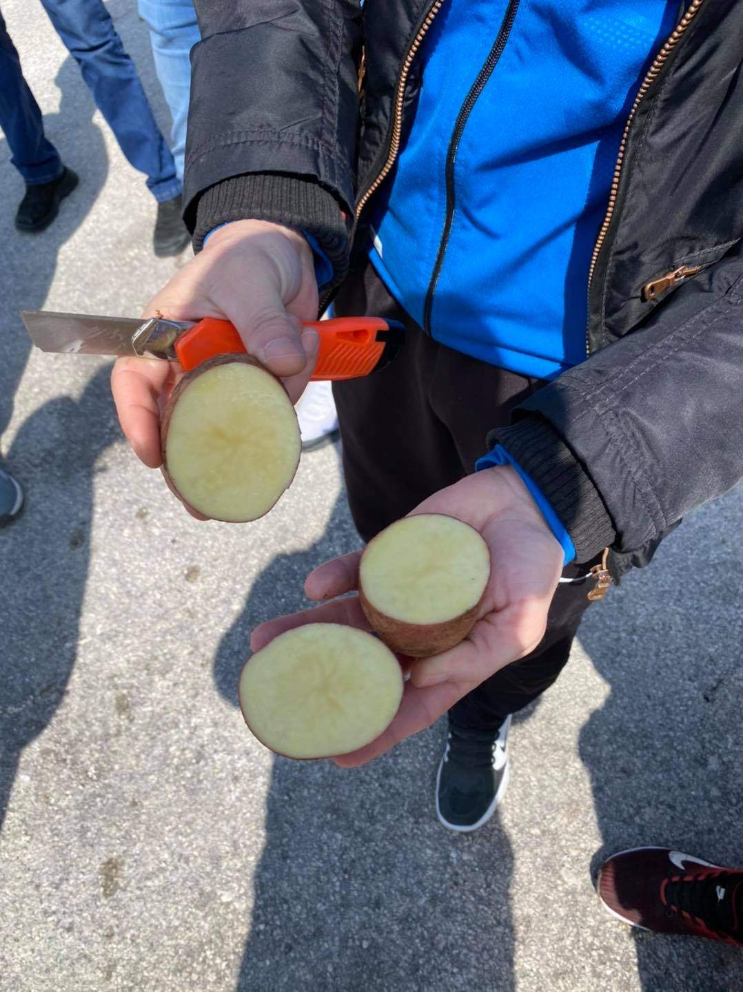 MIZ Livno krompir 01.jpeg - MIZ Livno: Podijeljene prve 4 tone krompira donacije MIZ Glamoč